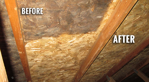 Thermal moisture scan inside a residential room